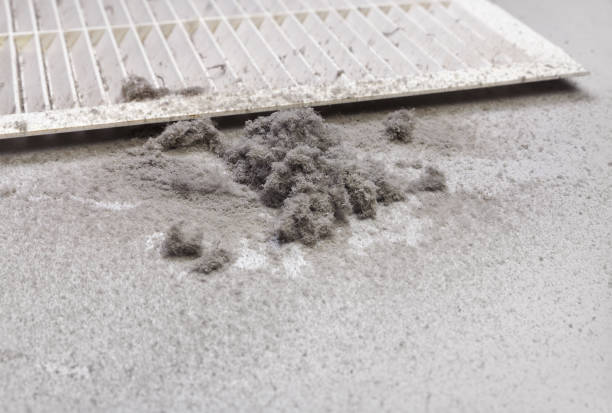 Best Air Duct Cleaning Near Me  in Tyhee, ID